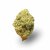 Super Lemon Haze CBD