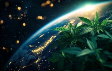 Legalita kratomu v Evropě Legalita kratomu v Evropě